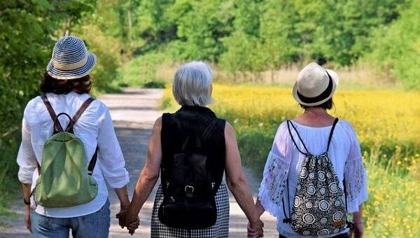 olife menopausa